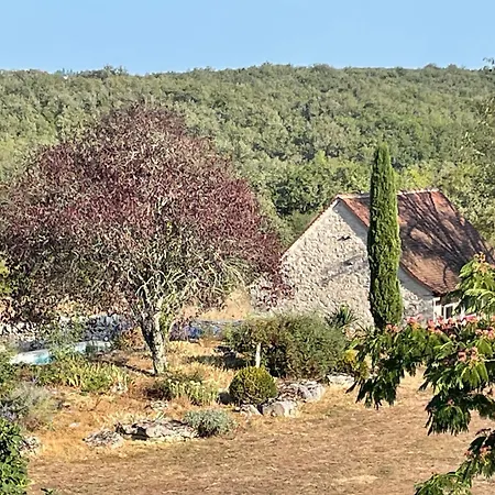 Mas De Méjas D'hôtes La Pierraille Bed & Breakfast Calvignac